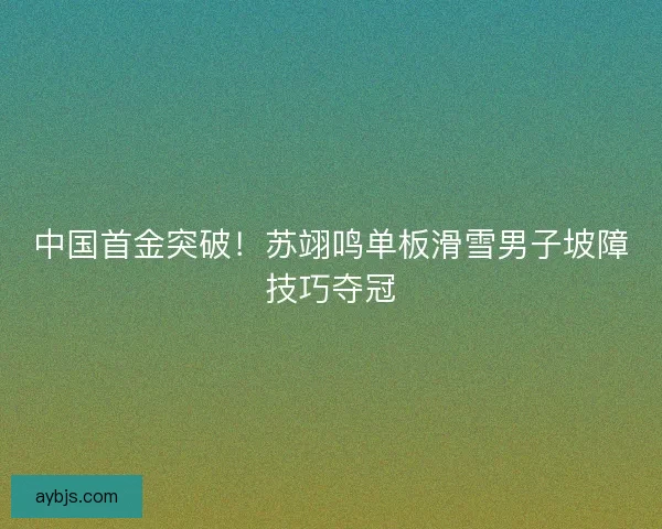 中国首金突破！苏翊鸣单板滑雪男子坡障技巧夺冠